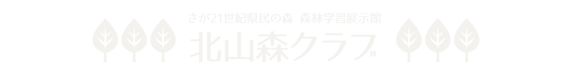 森の体験 さが21世紀県民の森 森林学習展示館 北山森クラブ 森の体験 さが21世紀県民の森 森林学習展示館 北山森クラブ